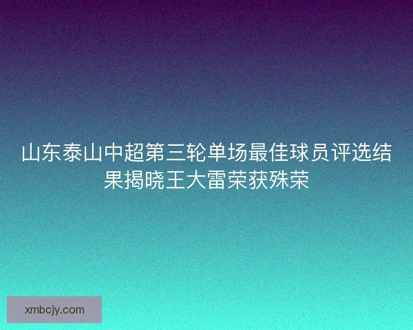 山东泰山中超第三轮单场最佳球员评选结果揭晓王大雷荣获殊荣